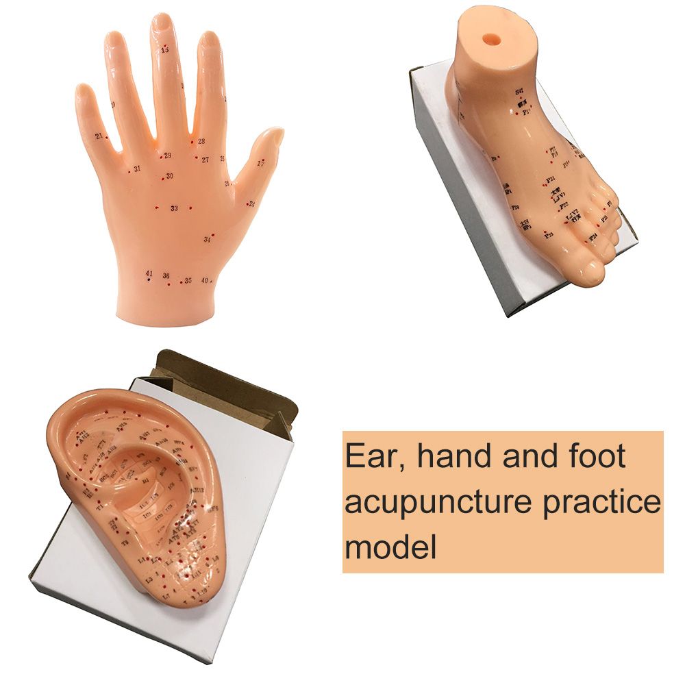 High Quality 8CM Silicone Ear Acupuncture Model Medical Human Anatomical Ear Acupuncture Model