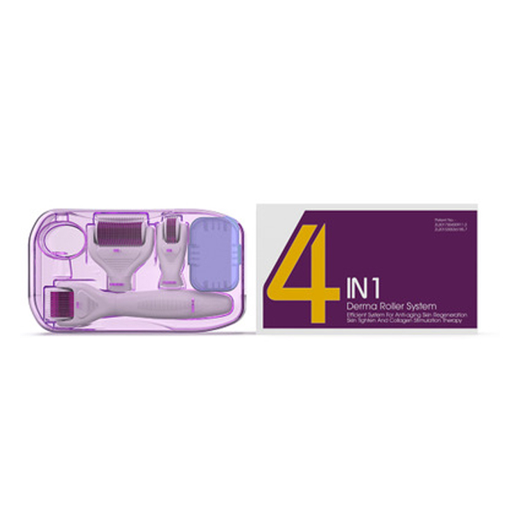 4 in 1 Derma Roller Set 