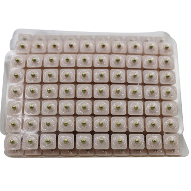 High Quality 600PCS Ear Massage Ear Seeds Magnetic Pellets