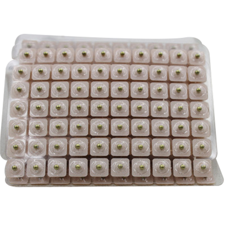 High Quality 600PCS Ear Massage Ear Seeds Magnetic Pellets