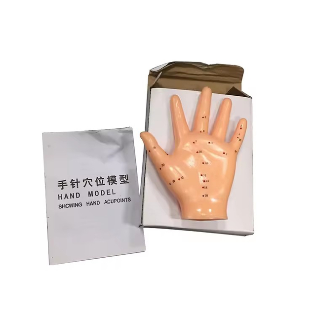 Chinese Acupuncture Model Energetic Acupuncture Hand Model 13cm Hand Model