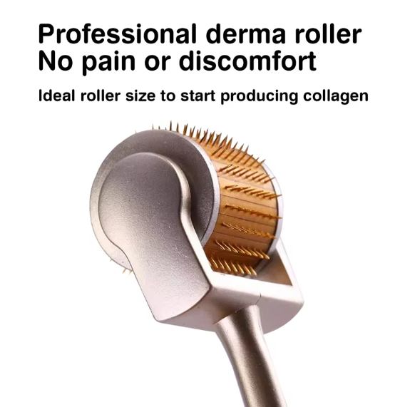 Derma Roller Microneedling (2)