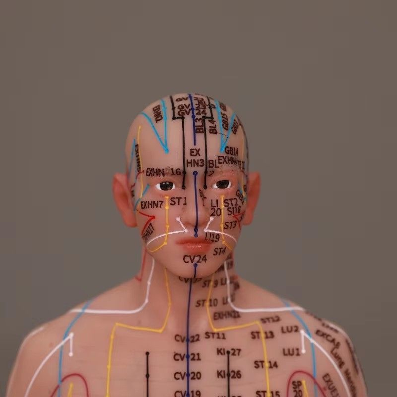 55cm-Body-Chinese-Acupuncture-Points-Silicone-Acupoints-Human-Model (4)