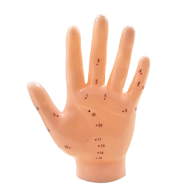 Chinese Acupuncture Model Famale Body for Meridian And Extraordinary Points 50cm