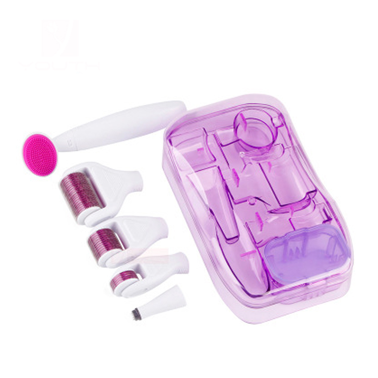 6 in 1 Derma Roller Set 