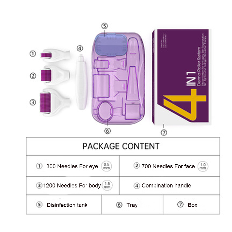 4 in 1 Derma Roller Set 