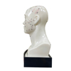 Excellent Choice High Quality Medical Use 20cm Head Acupuncture Model