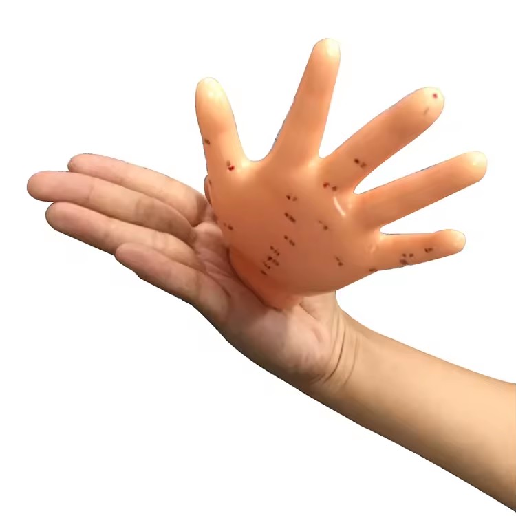 Chinese Acupuncture Model Energetic Acupuncture Hand Model 13cm Hand Model