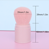 Mushroom Head Single Large Powder Brush Blush Brush Beauty Makeup Extendable Powder Brush