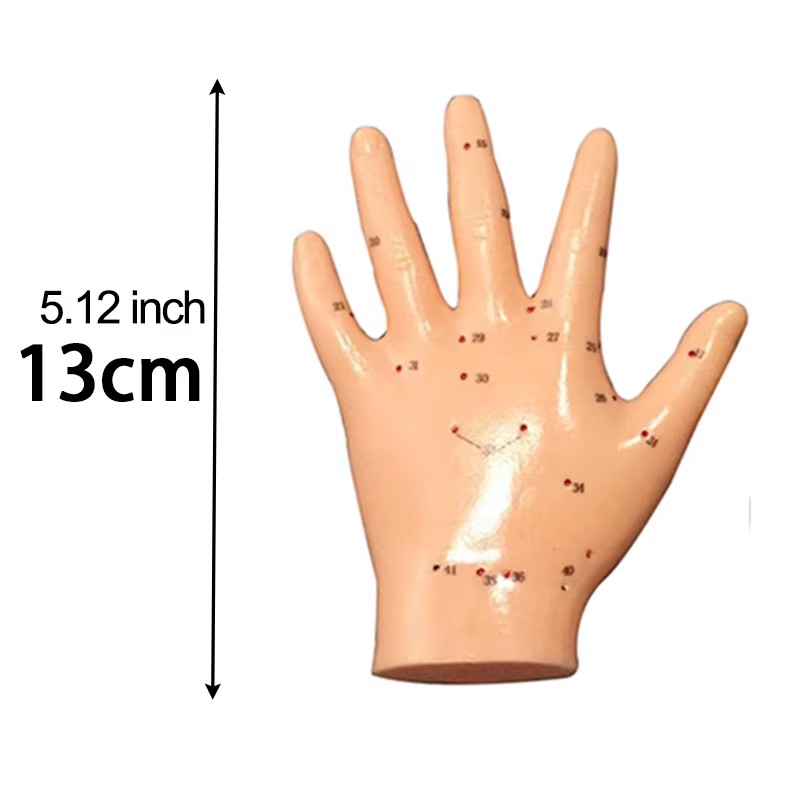 Hand Acupuncture Model (2)