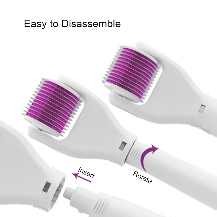 4 in 1 Derma Roller Set 