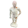 High Quality 26cm Body Acupuncture Model Soft Flexible Model Acupuncture Point Model