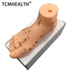 Acupuncture Human Body Model 13cm Chinese Acupuncture Foot Model