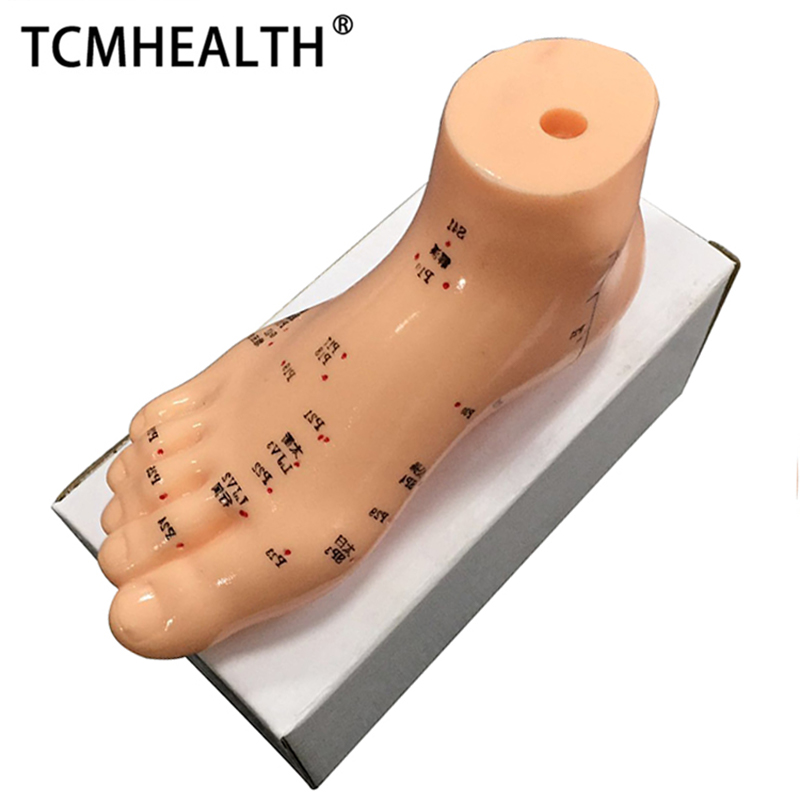 Acupuncture Human Body Model 13cm Chinese Acupuncture Foot Model