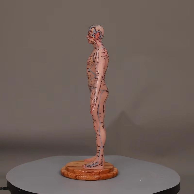 55cm Body Chinese Acupuncture Points Silicone Acupoints Human Model