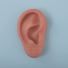 High Quality 8CM Silicone Ear Acupuncture Model Medical Human Anatomical Ear Acupuncture Model