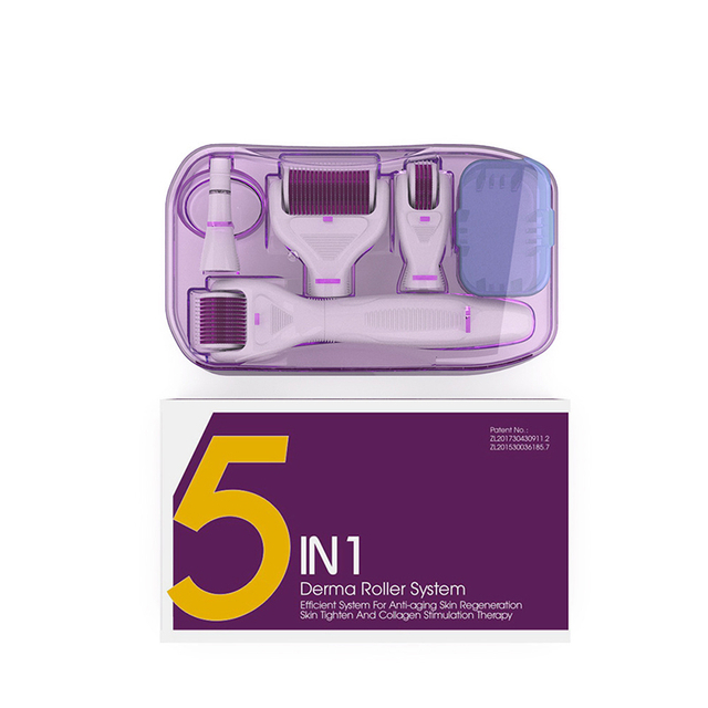 5 in 1 Derma Roller Set 