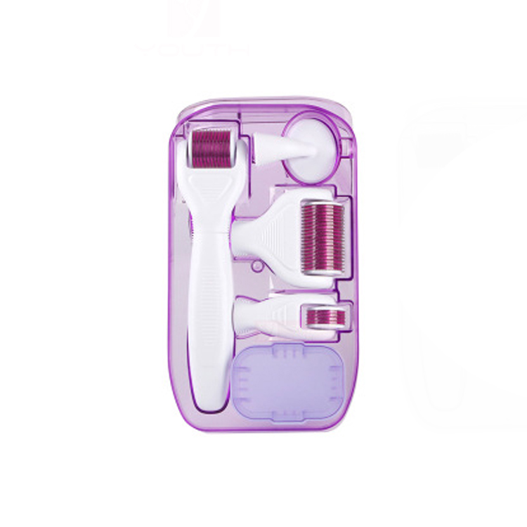 6 in 1 Derma Roller Set 