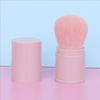 Mushroom Head Single Large Powder Brush Blush Brush Beauty Makeup Extendable Powder Brush