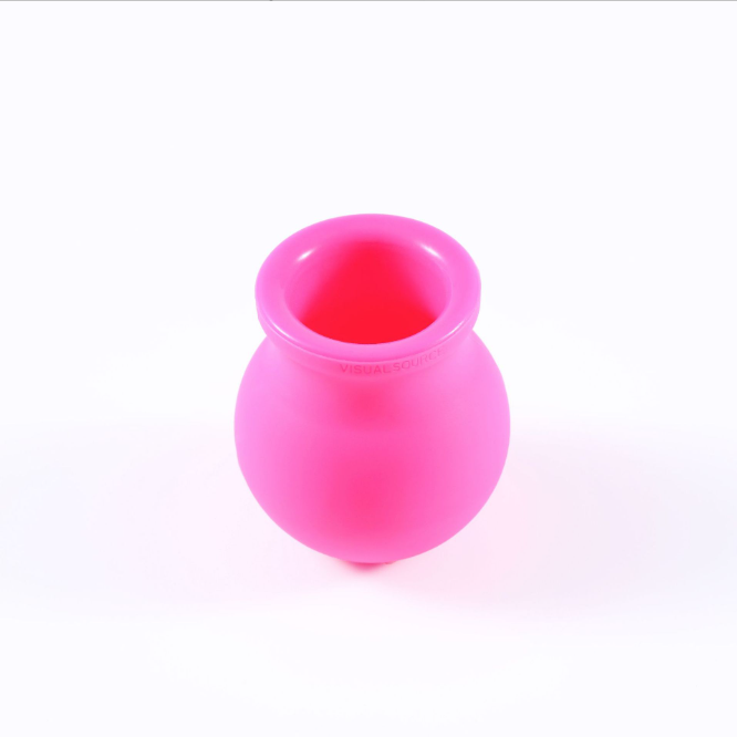 Silicone Lip Pump with The Brush