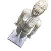 High Quality Body Acupuncture Model Soft Flexible Famale Model 48cm Acupuncture Point Model