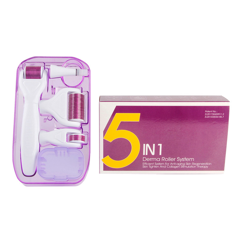 5 in 1 Derma Roller Set 